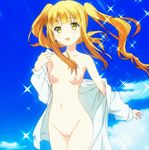  1girl azuki_azusa breasts female hentai_ouji_to_warawanai_neko. nude nude_filter photoshop pussy small_breasts uncensored 