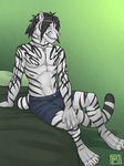  abs feline fur hair mammal muscles pecs tiger tsaiwolf white_fur 