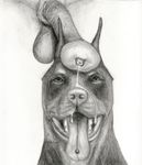  ambiguous_gender animal_genitalia balls canine cum cum_on_face darkmare disembodied_penis doberman dog duo feral flared_penis greyscale horsecock interspecies male mammal monochrome open_mouth pencil_(artwork) penis penis_on_head piercing solo_focus tongue tongue_out tongue_piercing tongue_stud traditional_media_(artwork) 