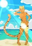  2015 anthro beach cloud feline fur hair htodinth male mammal muscles navel nude outside pecs sand sea seaside sky smile sunbeam tiger toned water 