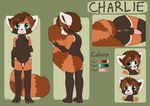 2015 anthro anus balls blush brown_fur brown_hair butt casual_nudity charlie claws cub erection flaccid fluffy_tail fur green_eyes hair herm intersex looking_at_viewer maleherm mammal markings missing_tooth model_sheet multiple_angles multiple_poses navel nude open_mouth orange_fur penis plain_background pussy red_panda shy smile solo spix tail_grab tail_hug teeth toe_claws young 