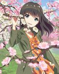  blue_eyes brown_hair cherry_blossoms long_hair looking_at_viewer official_art open_mouth shimada_mayu smile solo spring_(season) tree_branch wake_up_girls! wake_up_girls!_stage_no_tenshi wind 