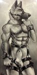  abs balls bridle canine chumbasket cuffs dog german_shepherd greyscale leather male mammal monochrome muscles nipples nude pecs penis sheath solo 