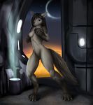  2015 anthro breasts canine female fox hi_res looking_at_viewer mammal night nipples nude paintchaser pussy solo 