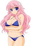  1girl absurdres baka_to_test_to_shoukanjuu bare_midriff bikini blue_eyes breasts busty cleavage erect_nipples female hair_ornament hairclip highres himeji_mizuki hips large_breasts legs long_hair looking_at_viewer mound_of_venus navel open_mouth photoshop pink_hair smile solo standing swimsuit thighs tongue transparent_background vector_trace 