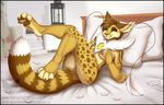  2015 avian bed bedroom bird censored cheetah digitigrade feathers feline female fluff gem hindpaw hybrid lantern looking_at_viewer mammal mark_haynes nude paws phoenix 
