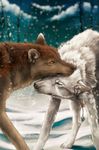  2015 ambiguous_gender anthro black_nose canine digital duo feral fluffy fur mammal necklace snow snowflake whitespiritwolf winter wolf 