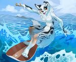  2015 anthro breasts canine demicoeur dog female mammal nude sea solo surfboard surfing water 