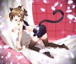  all_fours animal_ears bare_shoulders bell bell_collar brown_hair cat_ears cat_tail clinexgrim collar commentary fang green_eyes highres idolmaster idolmaster_cinderella_girls long_hair maekawa_miku midriff petals ponytail skirt solo tail thighhighs 