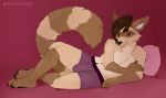  2018 5_fingers anthro ball_tuft black_nose brown_eyes brown_hair bulge canine claws clothing digital_drawing_(artwork) digital_media_(artwork) fur gloves_(marking) hair hi_res hybrid jellyfishjulep lying male mammal markings multicolored_fur nude penis pillow pinup pose procyonid raccoon simple_background socks_(marking) solo toe_claws tuft underwear 