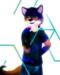  2015 anthro brian canine clothed clothing fox fur green_eyes hair male mammal open_mouth orange_fur skymafia smile solo teeth tongue 