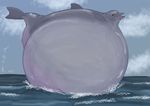  bestiality bubble bulge cetacean cetaceans dolphin feral inflation interspecies male mammal marine mullen paul sea tack tiarhlu water zoophile 