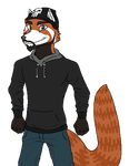  beanie black_hair black_hoodie clothing facial_hair hair hat jeans male mammal marvel matt_(two_best_friends_play) plain_background red_panda solo the_punisher two_best_friends_play 