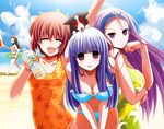  4girls arm_up asagami_fujino beach bikini bottle breasts brown_hair casual_one-piece_swimsuit cleavage closed_eyes dog empty_eyes eyes_closed hairband innertube kara_no_kyoukai leaning_forward long_hair multiple_girls one-piece_swimsuit open_mouth ouji_misaya purple_eyes purple_hair red_eyes seo_shizune short_hair swimsuit 