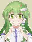  blouse detached_sleeves fingersmile frog_hair_ornament green_eyes green_hair hair_ornament hair_tubes highres kochiya_sanae long_hair smile snake_hair_ornament solo touhou upper_body wosero 