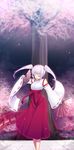  cherry_blossoms closed_eyes daiaru highres japanese_clothes long_hair miko original silver_hair solo twintails 
