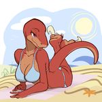 beach bikini clothing dinosaur female pashoo raptor seaside swimsuit 