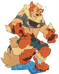  2015 anthro arcanine barefoot big_paws big_tail black_fur canine chubby claws clothing fur kuma male mammal neck_fluff nintendo nipples open_mouth orange_fur pawpads paws plain_background pok&eacute;mon shirt solo teeth toe_claws torn_clothing transformation video_games white_background 