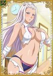  1girl bare_shoulders blush breasts female himiko_(ikkitousen) ikkitousen large_breasts lavender_hair long_hair looking_at_viewer official_art panties purple_eyes solo standing thick_eyebrows torn_clothes underwear 