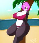  2015 anthro beach bear big_breasts bikini breasts cleavage clothed clothing female mammal panda seaside solo swimsuit tiger1001 