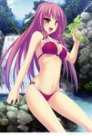  absurdres bikini breasts brown_eyes cleavage day happy highres long_hair medium_breasts purple_hair sky solo swimsuit tenmaso tree water water_gun 