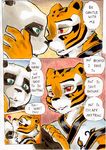  anthro bear better_late_than_never comic daigaijin english_text feline female kissing kung_fu_panda male mammal master_tigress panda po text tiger 