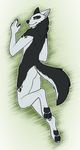  2015 anthro black_fur black_spots butt canine claws flat_color fur green_eyes looking_back male mammal nude pawpads paws plain_background raised_tail smile solo suggestive white_background white_fur wolf yaroul 