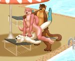  2015 anal anal_penetration anthro black_eyes black_nose brown_fur brown_hair canine chair chest_tuft dog ear_piercing fur group group_sex hair hotterotter kaza lucian_(luciantheotter) male male/male mammal mustelid open_mouth otter penetration piercing pink_fur pool precum sex threesome tuft water white_fur 
