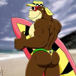  beach butt clothing glutes gorilla mammal primate seaside surfing thong 