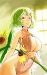  arm_behind_back breast_hold breasts cleavage colored_eyelashes floral_print flower front_zipper_swimsuit green_hair groin highres hips holding holding_flower kazami_yuuka large_breasts lips looking_at_viewer looking_down meme_attire one-piece_swimsuit red_eyes short_hair sinzan slit_pupils smile solo sunflower sunlight swimsuit teeth thighs touhou window 