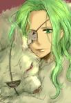  eyepatch green_eyes green_hair kkch_(smipon) looking_at_viewer menowa_mei portrait solo witch_craft_works wolf 