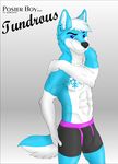  6-pack abs bulge canine dog earpiercings fox fur husky mammal muscles nude pose posterboy snowflake tundrous wolf 