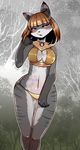  black_eyes blush breasts brown_hair buried_frog cat clothing feline fur grey_fur hair kemono mammal panties underwear unknown_artist 