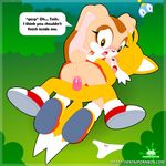  cheese_the_chao cream_the_rabbit cum cum_in_pussy cum_inside miles_prower sega sonic_(series) unwanted_cumshot 