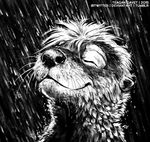  2015 blackteagan eyes_closed male mammal monochrome mustelid otter outside raining sketch solo twitch_(character) water wet 