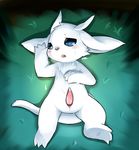  anthro ball claws crying cub cum cute fur half-close_eyes invalid_tag little_worng_kittly_(artist) male open_mouth ori ori_and_blind_forest ori_and_the_blind_forest penis shy solo tapering_penis tears white_fur young 