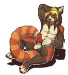  2015 animal_genitalia anthro armpits arms_above_head balls briefs canine_penis claws clothed clothing erection fur hair half-dressed knot male mammal open_mouth paws penis presenting presenting_penis red_panda sitting smile solo spreading tape_(artist) tongue tongue_out topless underwear 