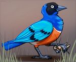  2015 avian beak bird black_eyes black_feathers blue_feathers claws cricket feral grass looking_at_viewer orange_feathers outside prey royalty_(artist) smile solo 