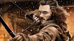  1boy arrow bard_the_bowman bow_(weapon) brown_hair fingerless_gloves fire gloves jacket male male_focus middle_earth realistic solo the_hobbit weapon 