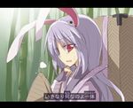  ajirogasa animal_ears backpack bag bamboo bamboo_forest bandages bunny_ears fingerless_gloves forbidden_scrollery forest gloves hat hat_removed headwear_removed japanese_clothes lavender_hair long_hair looking_at_viewer nature open_mouth profile red_eyes reisen_udongein_inaba satou_kibi solo sweatdrop text_focus touhou translated 