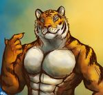  2014 abs anthro black_fur blue_eyes bluechance clothed clothing feline fur half-dressed looking_at_viewer male mammal manly muscles orange_fur pecs pointing ripped solo standing stripes tiger toned topless whiskers white_fur 