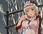 ayase_eli blonde_hair blue_eyes breasts fence hood love_live! love_live!_school_idol_project medium_breasts onoguru russian_clothes sequins smile snow solo tree 
