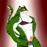  2015 abs anthro ashamed biceps big_muscles black_fur blush clothed clothing crossdressing dollars dong2fm dripping erection feline fur green_eyes green_fur leaf lingerie looking_away male mammal manly money muscles navel nervous pecs penis precum ripped solo standing stripes stripper sweat tiger toned translucent underwear white_fur 