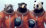  astronaut bear black_bear bryn_geronimo_jones mammal panda raccoon realistic spacesuit wallpaper 