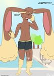  anthro big_penis brixxx clothed clothing english_text fur half-dressed hyper hyper_penis lopunny male mammal nintendo open_mouth penis pok&eacute;mon pool shorts solo standing sweat sweatdrop swimming_pool text timothy_vladislaus topless video_games water 
