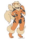 2019 animal_genitalia anthro anthrofied arcanine areola balls breasts canine collar dickgirl fluffy fluffy_tail front_view full-length_portrait fully_sheathed fur hand_on_hip intersex mammal nintendo nipples nude open_mouth open_smile orange_fur pok&eacute;mon pok&eacute;mon_(species) pok&eacute;morph portrait rainbowsprinklesart sheath simple_background smile solo stripes video_games white_background 