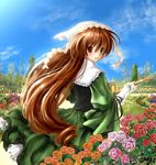  bad_id bad_pixiv_id day dress flower long_hair rozen_maiden sakura_monchi sky solo suiseiseki tree very_long_hair 