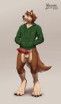  animal_genitalia anthro balls bottomless canine canine_penis clothed clothing erection half-dressed hoodie knot male mammal nathan penis solo wagnermutt 