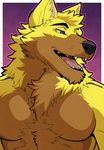  abs aluminemsiren anthro canine chest_tuft fur g-wolf male mammal muscles pecs tuft wolf 