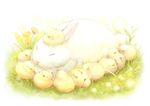  bunny chick closed_eyes dandelion flock flower grass lying no_humans original sitting sleeping too_many too_many_chicks yoshiyanmisoko 